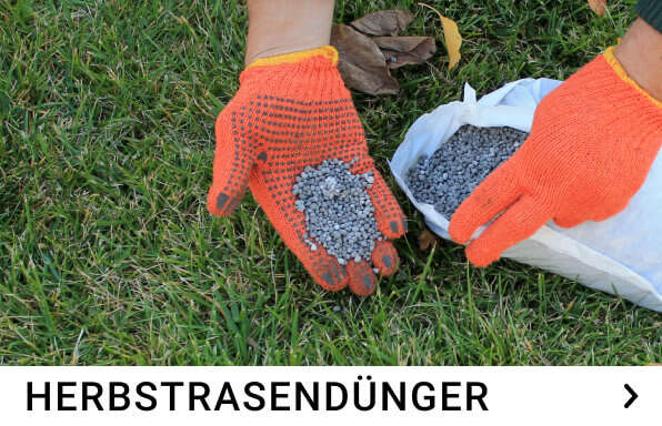 herbstrasendünger kachelmenue (1)